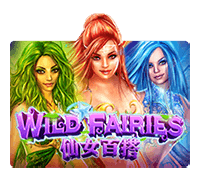 Wild Fairies